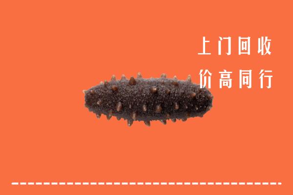 山南回收海参