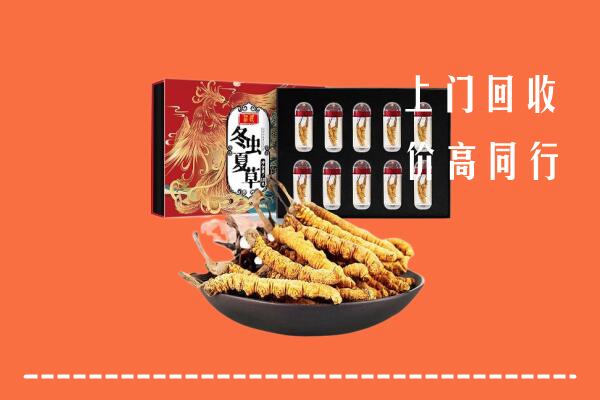 山南回收虫草